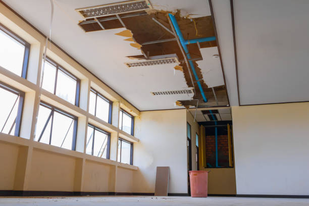 Carpet water damage restoration in Campbellsville, KY