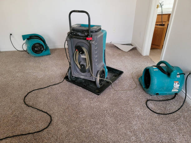 Water damage restoration insurance claims in Campbellsville, KY