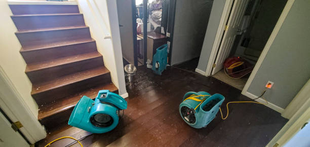 Best Flooded house restoration  in Campbellsville, KY