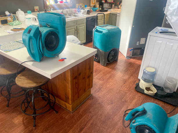 Best Professional water damage repair  in Campbellsville, KY