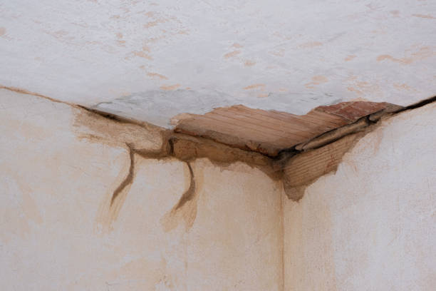 Best Water damage contractors near me  in Campbellsville, KY