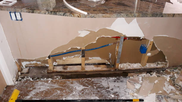 Best Local water damage restoration  in Campbellsville, KY