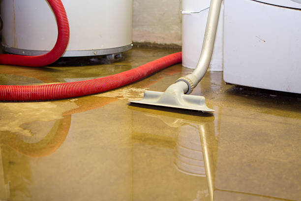 Best Carpet water damage restoration  in Campbellsville, KY