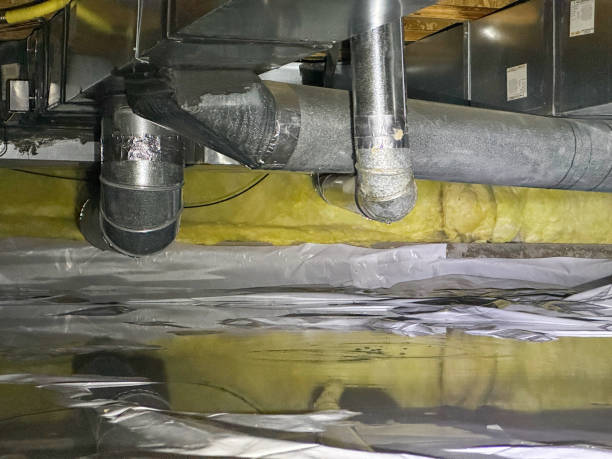 Best Flood damage cleanup  in Campbellsville, KY