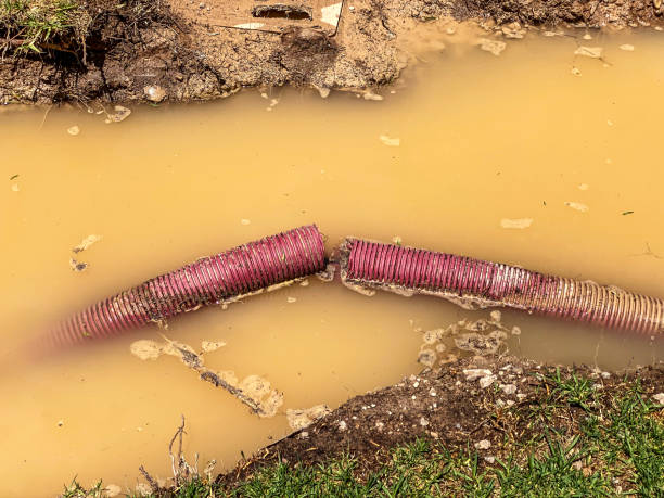  Campbellsville, KY Water damage restoration Pros