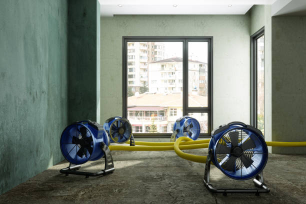 Best 24-hour water damage restoration  in Campbellsville, KY